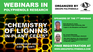 Webinar 7 AD